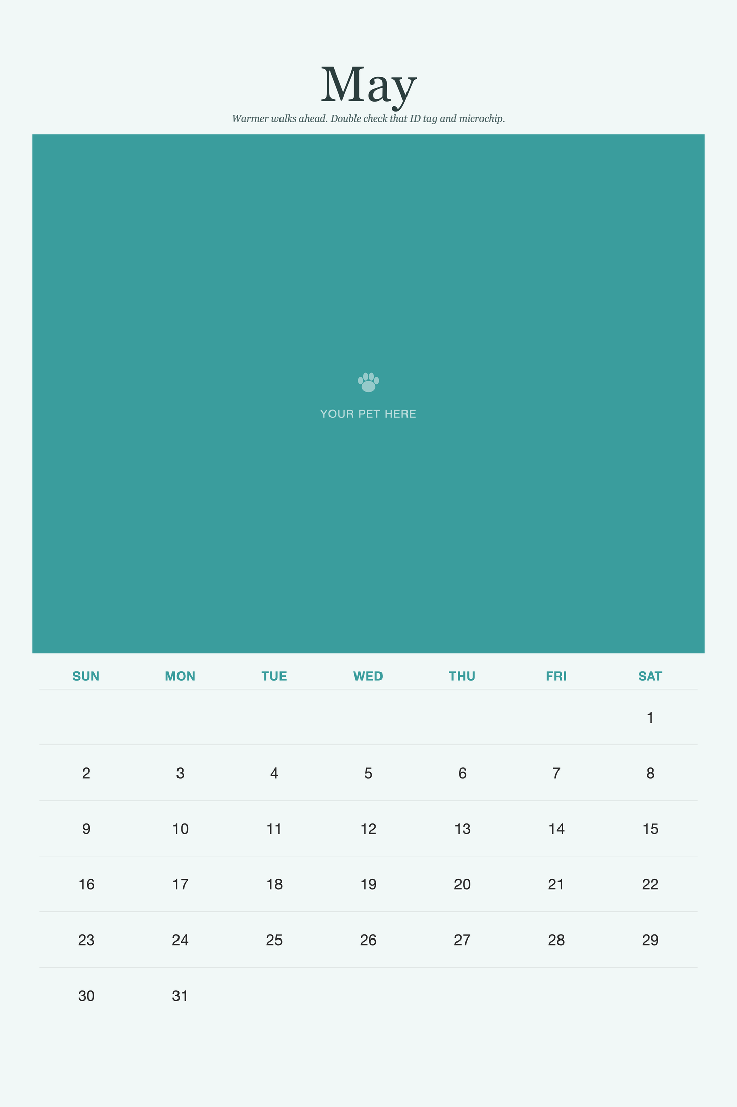 May page of the Pet Care & Keepsake Calendar 2027 — Loved & Looked After, with a photo area above the date grid
