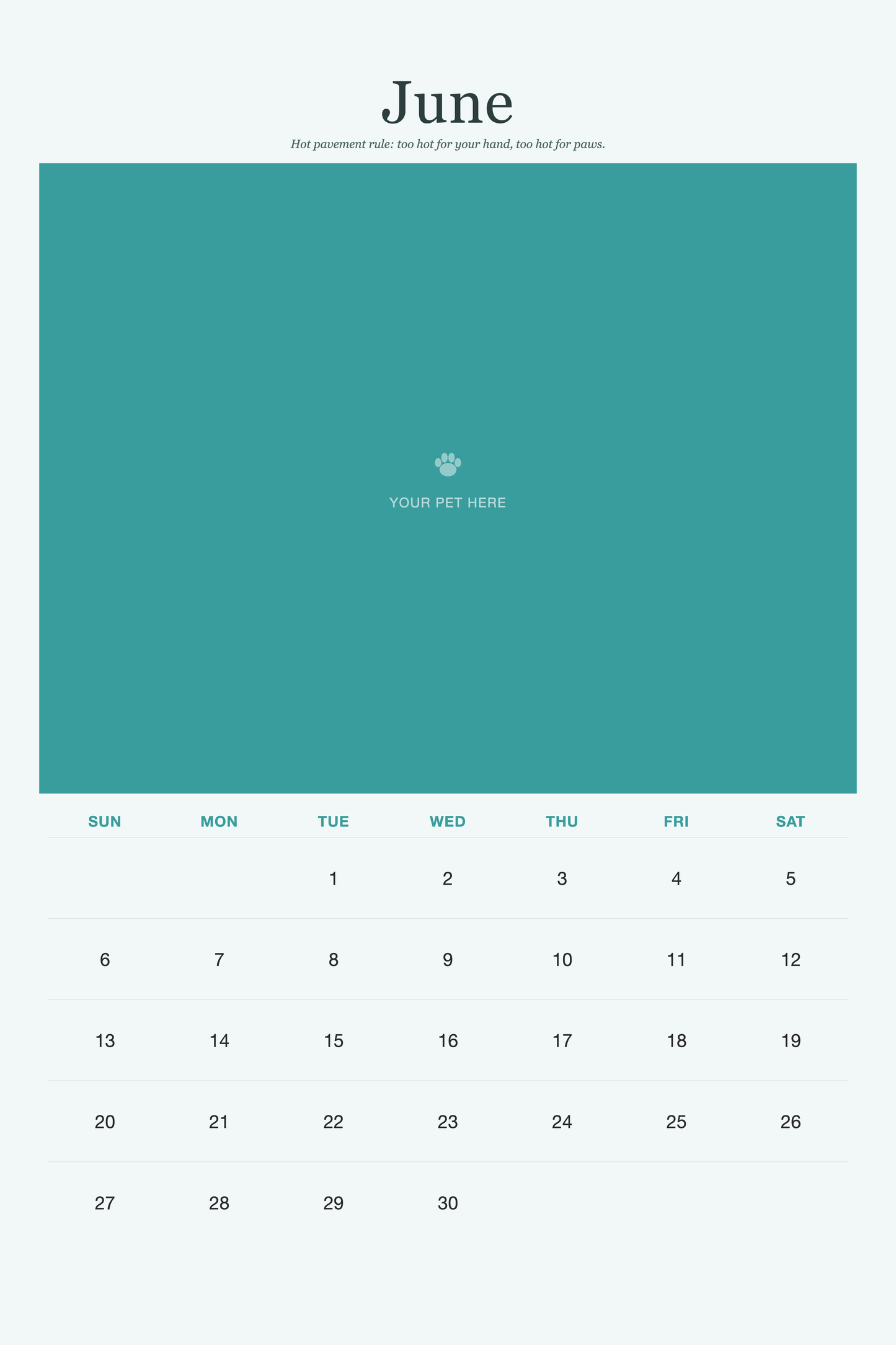 June page of the Pet Care & Keepsake Calendar 2027 — Loved & Looked After, with a photo area above the date grid