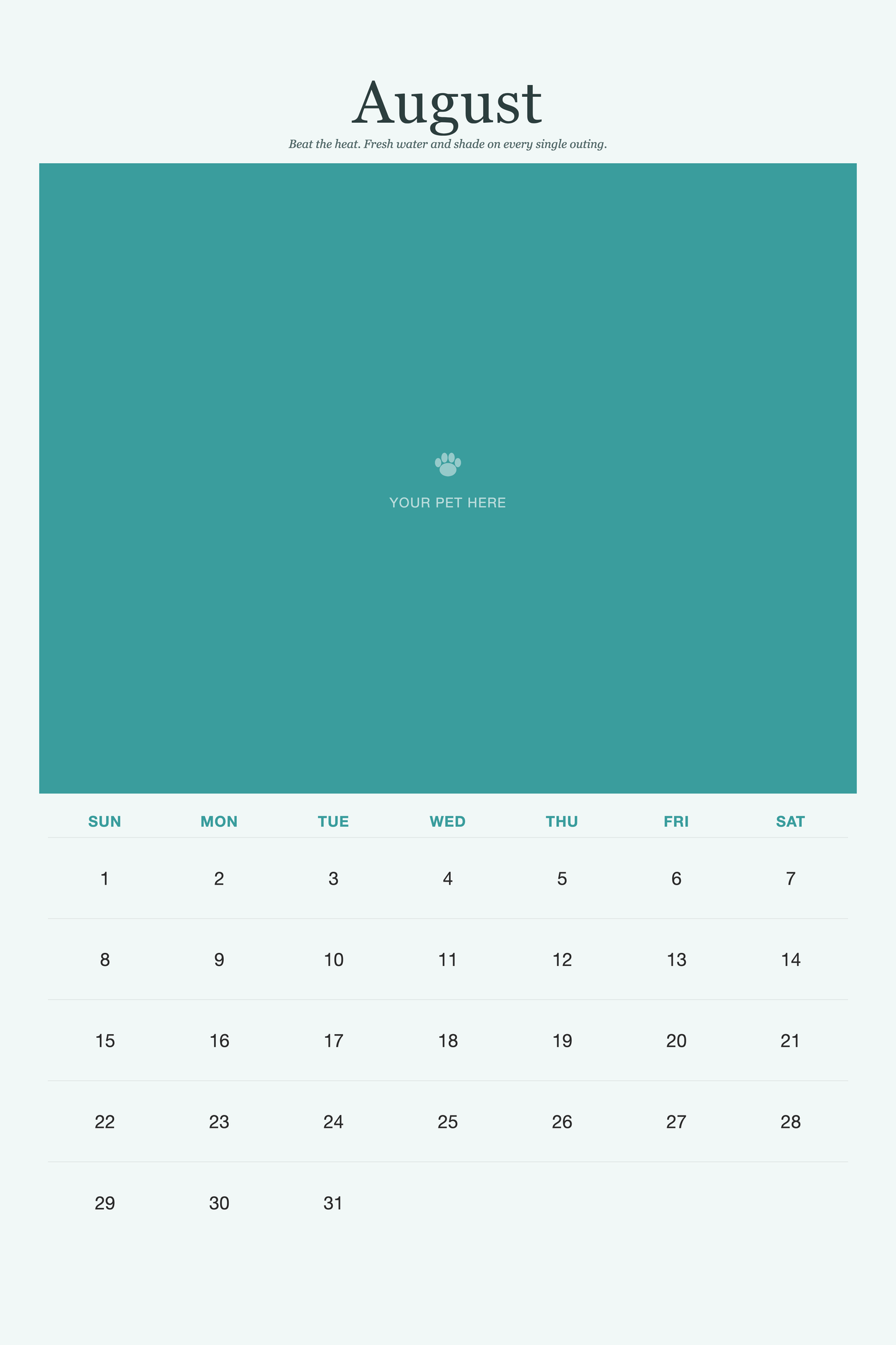 August page of the Pet Care & Keepsake Calendar 2027 — Loved & Looked After, with a photo area above the date grid