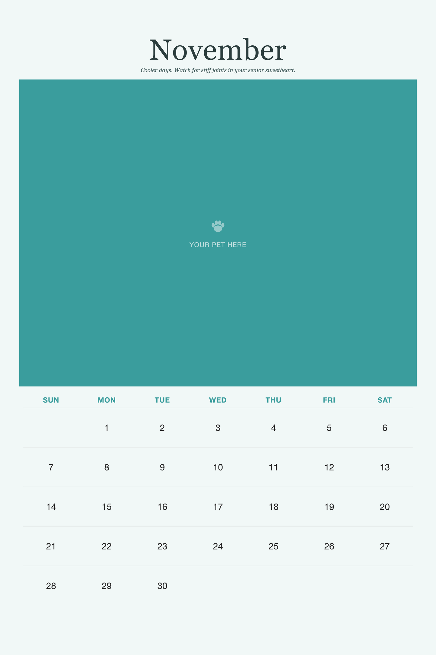 November page of the Pet Care & Keepsake Calendar 2027 — Loved & Looked After, with a photo area above the date grid