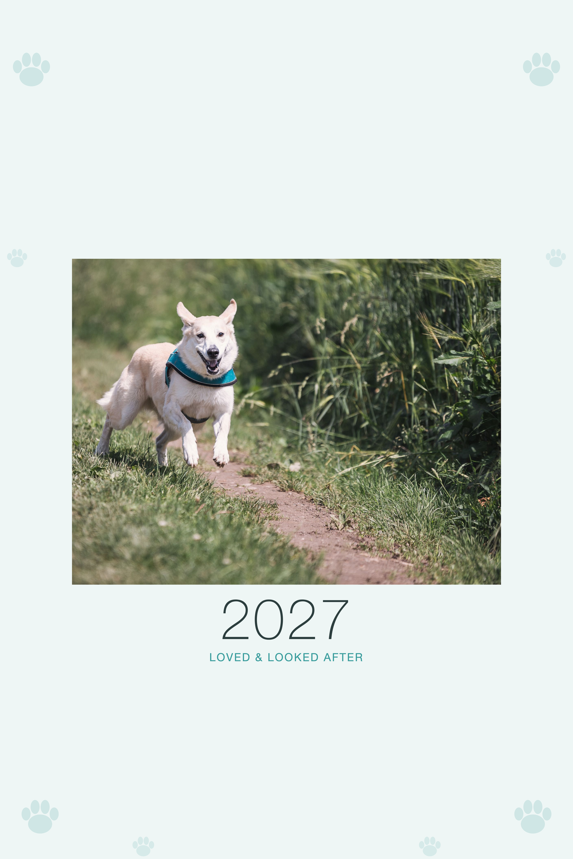 Pet Care & Keepsake Calendar 2027 — Loved & Looked After shown with a sample pet photo on the cover