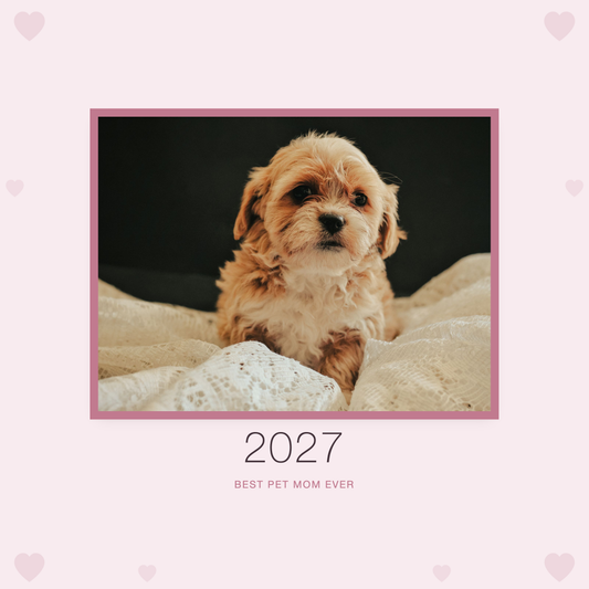 2027 petmom calendar cover with sample pet photo