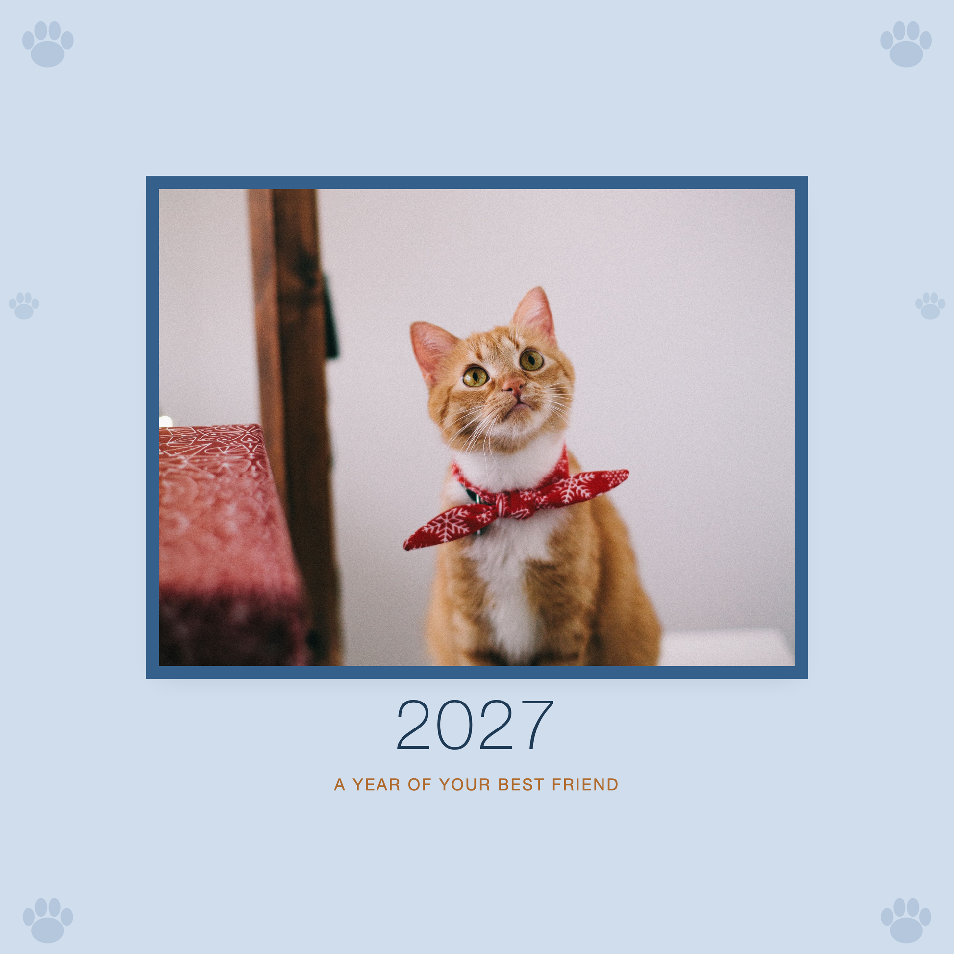 2027 plain-blue calendar cover with sample pet photo