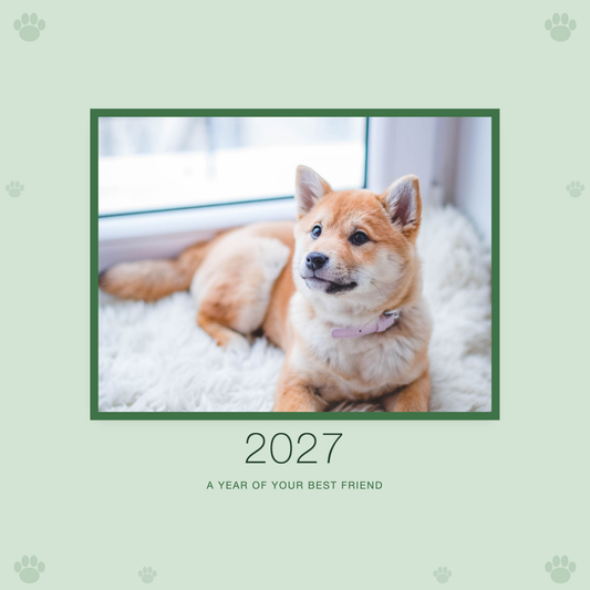 2027 plain-sage calendar cover with sample pet photo