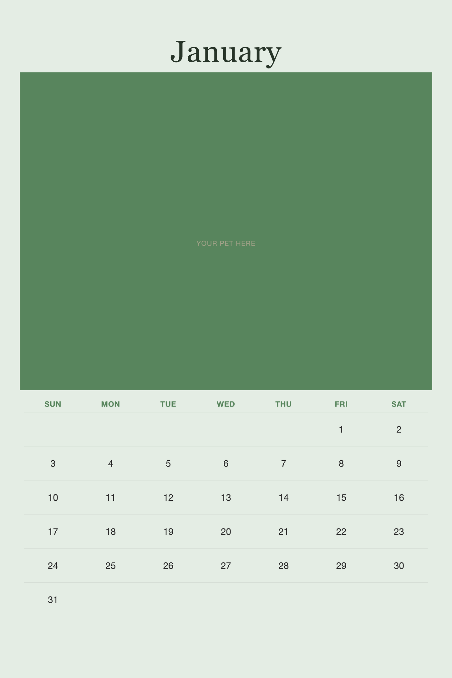 January page of the Personalized Pet Photo Calendar 2027 — XL Minimalist Sage, with a photo area above the date grid