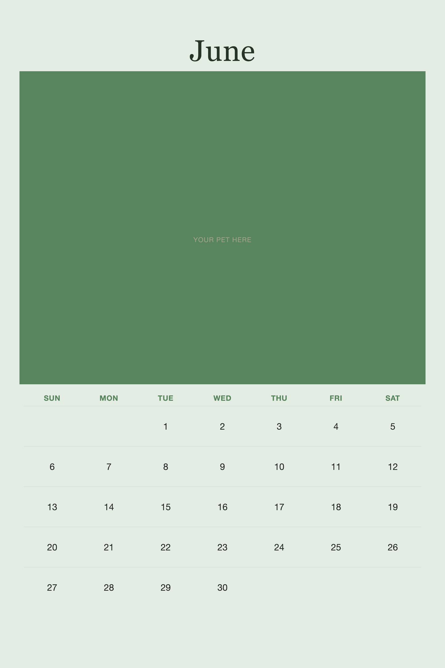 June page of the Personalized Pet Photo Calendar 2027 — XL Minimalist Sage, with a photo area above the date grid