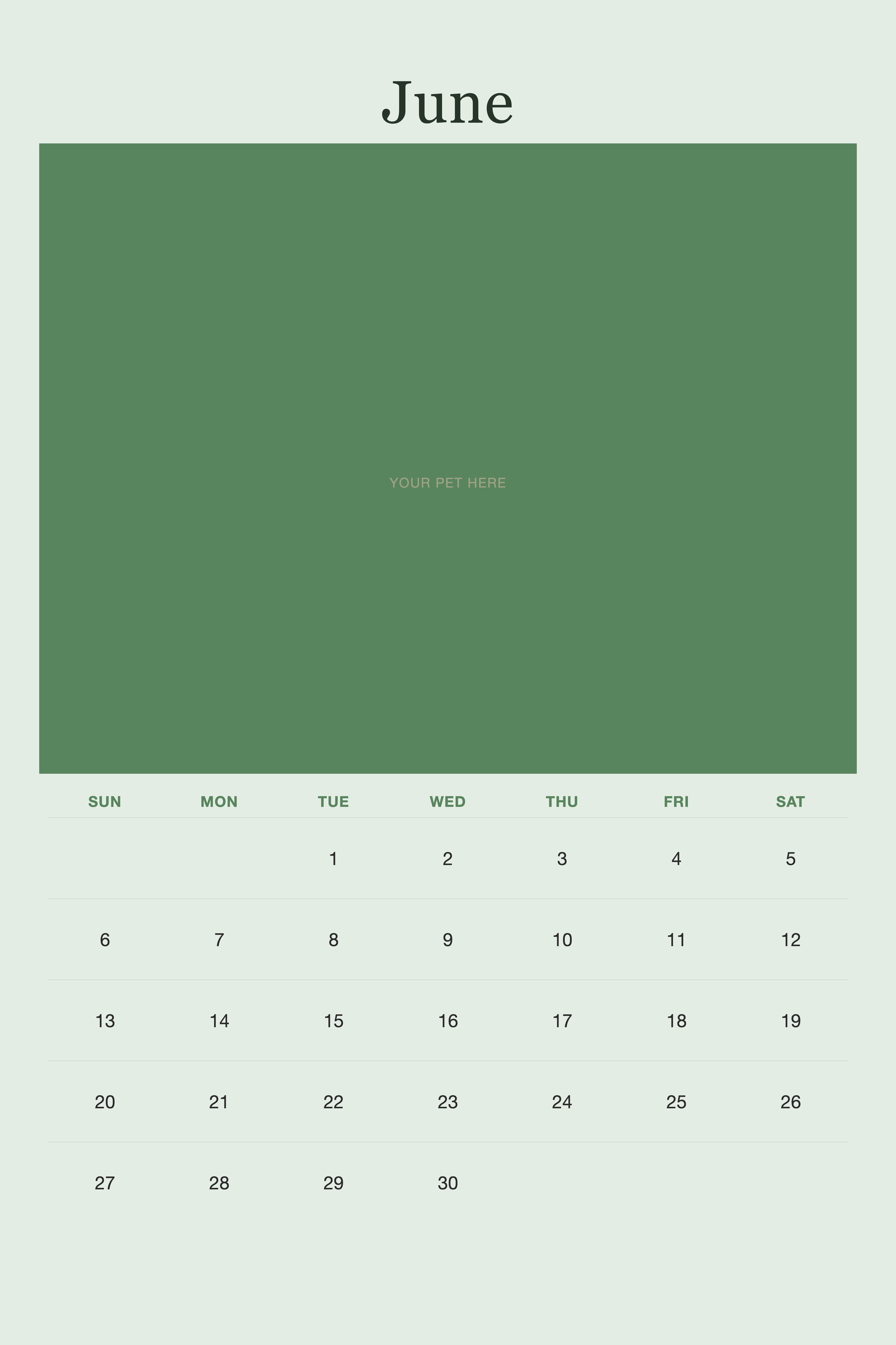 June page of the Personalized Pet Photo Calendar 2027 — XL Minimalist Sage, with a photo area above the date grid