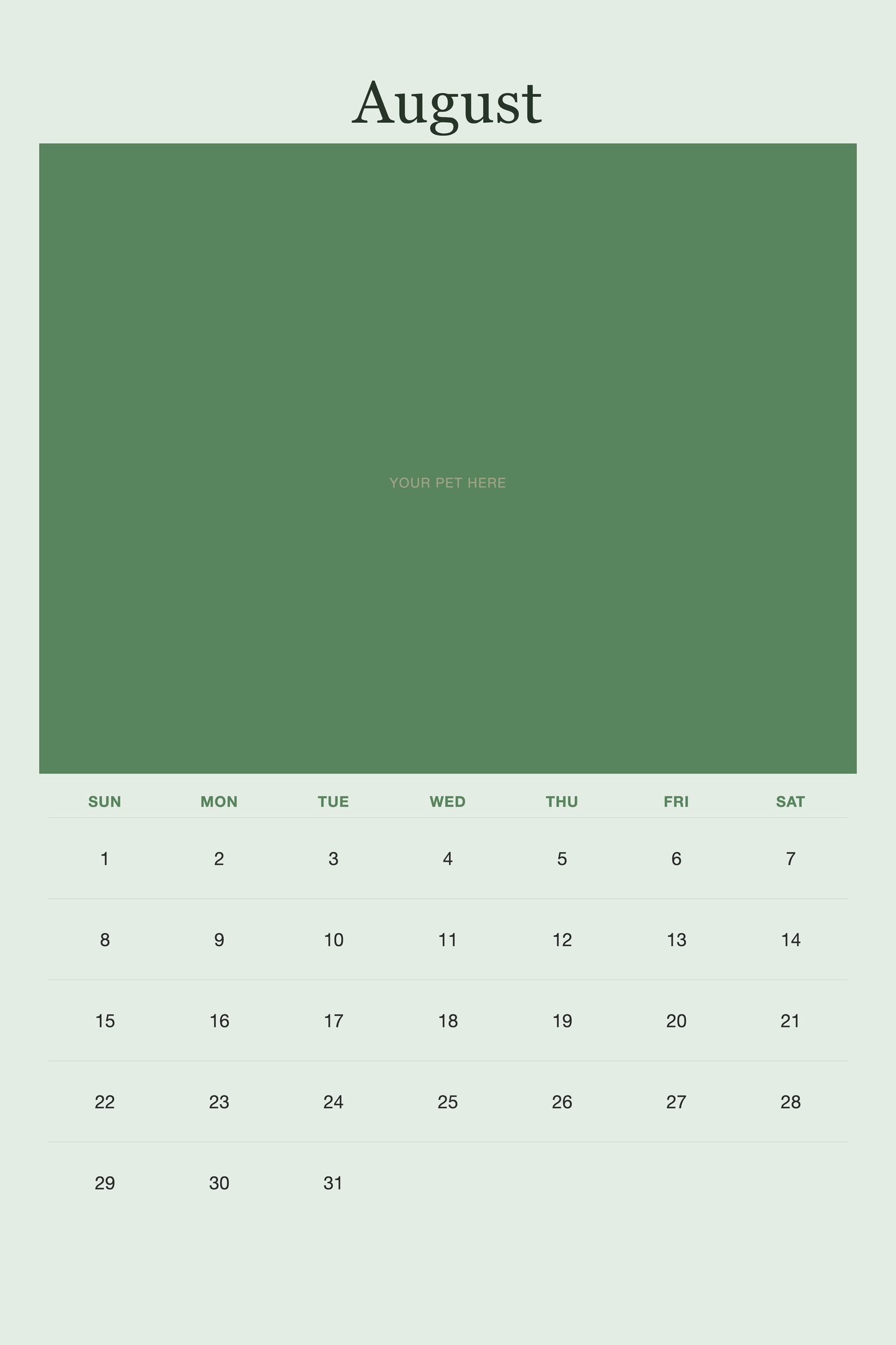 August page of the Personalized Pet Photo Calendar 2027 — XL Minimalist Sage, with a photo area above the date grid