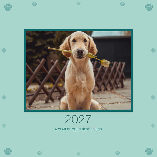 2027 seasonal calendar cover with sample pet photo