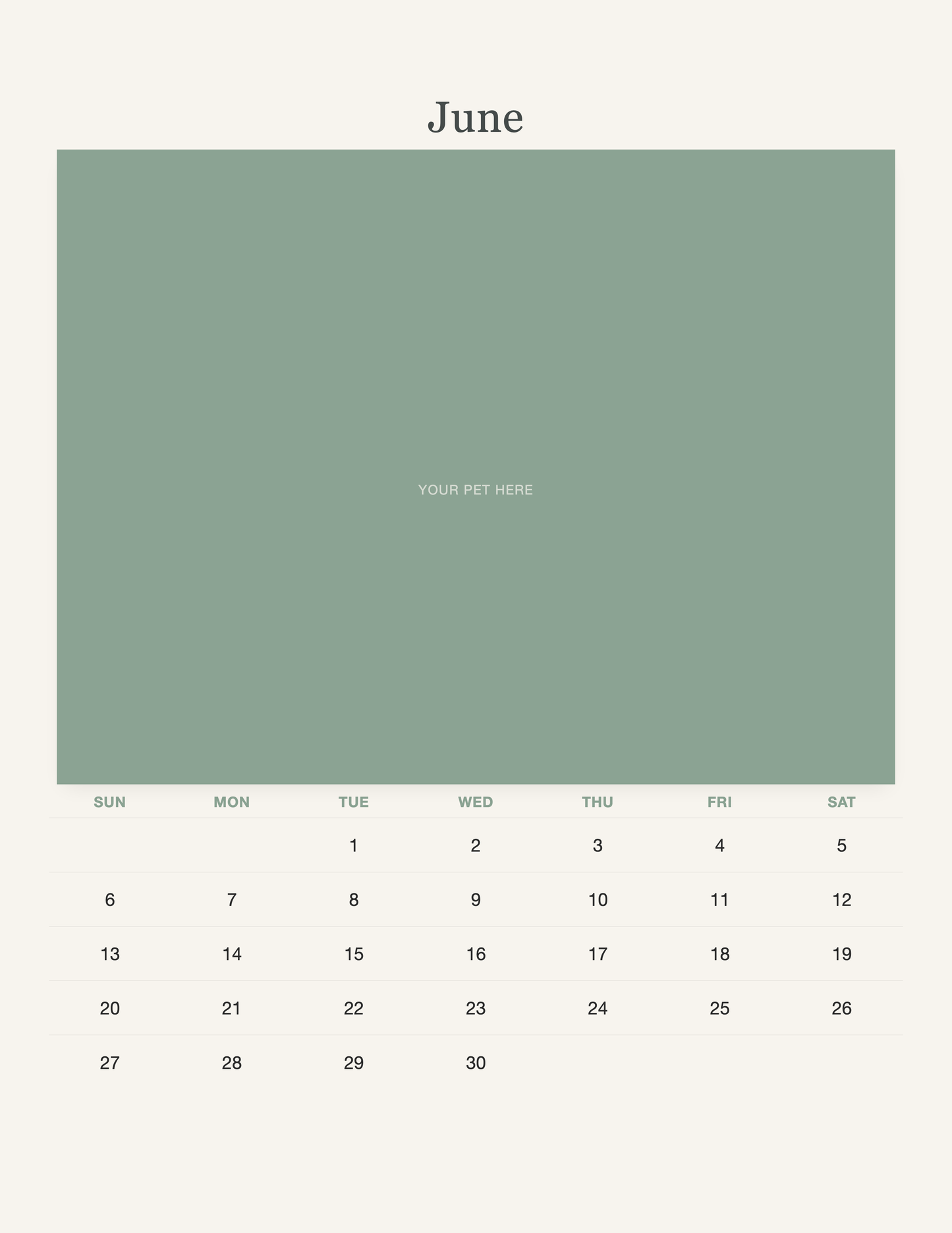 June page of the Watercolor Pet Photo Calendar 2027 — Botanical Keepsake, with a photo area above the date grid